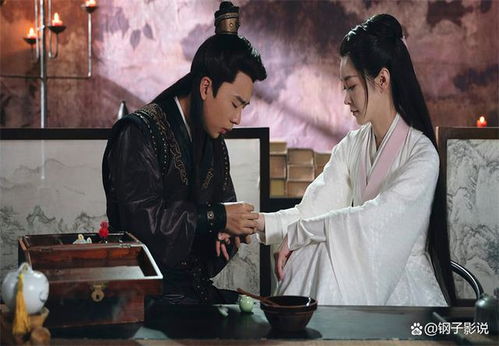 神医赘婿，传奇人生与医术的交融