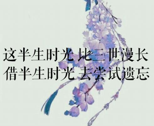 与你擦肩而过（80集）的邂逅与感悟