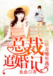 陆少追婚之夫人哪里跑（65集连播版）