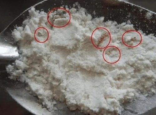 加沙一袋生虫面粉背后的故事，一场关于质量与价值的探讨