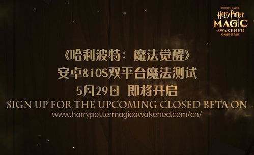 新夕阳玫瑰，时光与爱的交响乐章（62集剧情赏析）