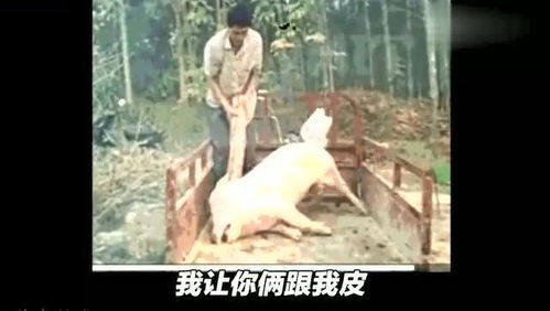 我在人间捡垃圾（75集）