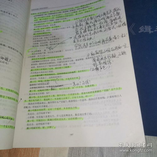 真假爱人（电视剧剧本概述）