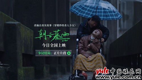 错位，命运的无常与人性的探索——解读电视剧错位（第92集）