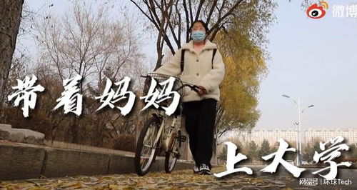 离婚妈妈竟是霸总白月光（第卢c鹿鹿集）