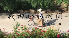神医农女，买个相公来种田（100集）——田园风光的浪漫种田之旅