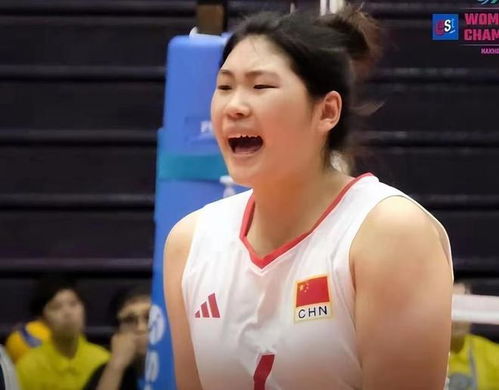 奥运之女排之战（千歆版），荣耀与梦想，三十集热血篇章