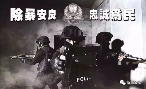 卧狼行动，深入解析一部百集巨制的独特魅力