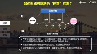 攻略三年半，系统误判，对象之谜（66集精彩回顾）