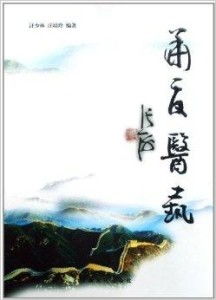 九龙圣医，医术与智慧的传世典范