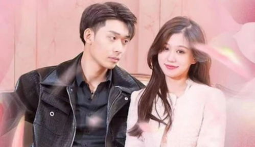傅总的隐婚前妻（103集）剧情深度解析