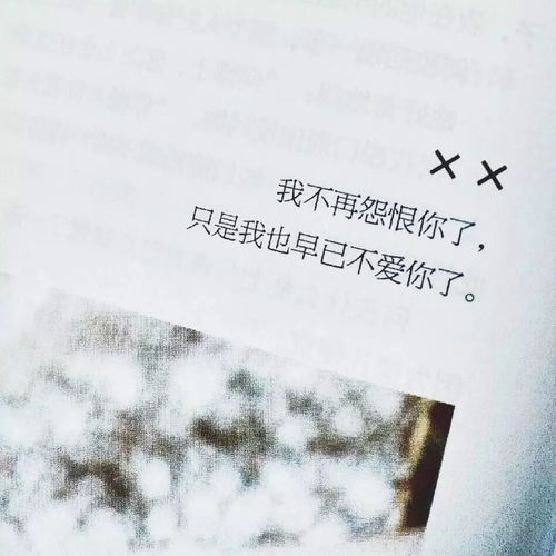 如果爱情回不去（71集）