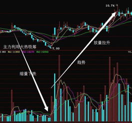 95后小伙炒股一月狂赚112万，股市奇才还是运气爆棚？