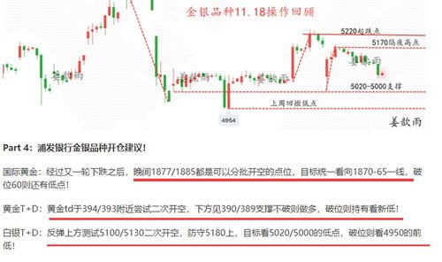 A股尾盘猛拉，多概念走强——市场走势深度解析