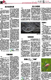 第二十八年春之马乐婕，时光印记与生命绽放（80集剧情概述）