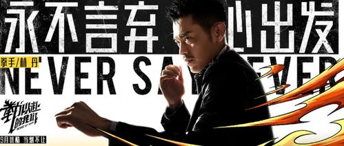 拳力以赴，热血之路（80集）——挑战与荣耀的交织