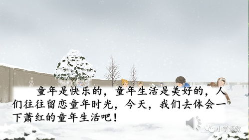 等风等轻轻，杨咩咩的二十四集人生旅程