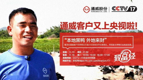 殡仪馆副馆长另类致富经，创新与尊重的巧妙融合