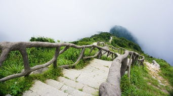 深圳鹏城第一峰景石，人造石与自然之美的融合