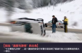 机械师处置野猪侵线被撞背后的故事