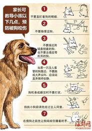 老人被自家狗扑倒撕咬脸部，悲剧背后的警示与思考