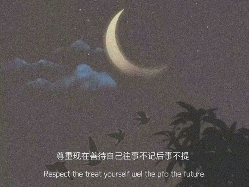余生不吹温柔风，人生的选择与坚持（共80集）