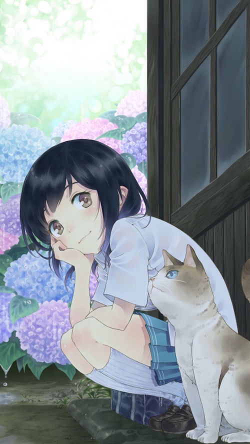 竟然，你是我的前妻（集萃版）
