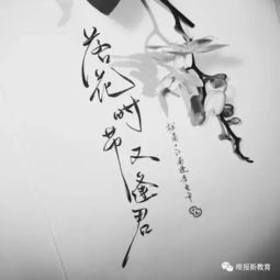 落花时节再逢君（82集）
