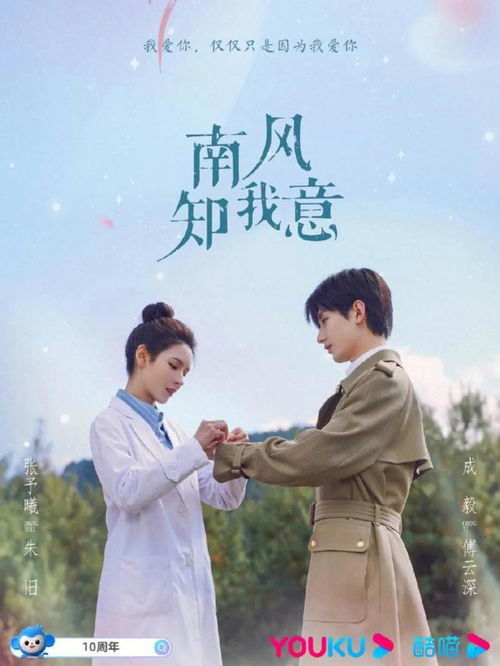 南风不知我意（电视剧）