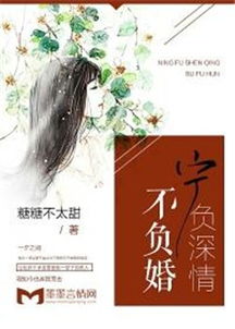 不负天下不负卿，一部深情厚意的传世之作（70集深度解析）