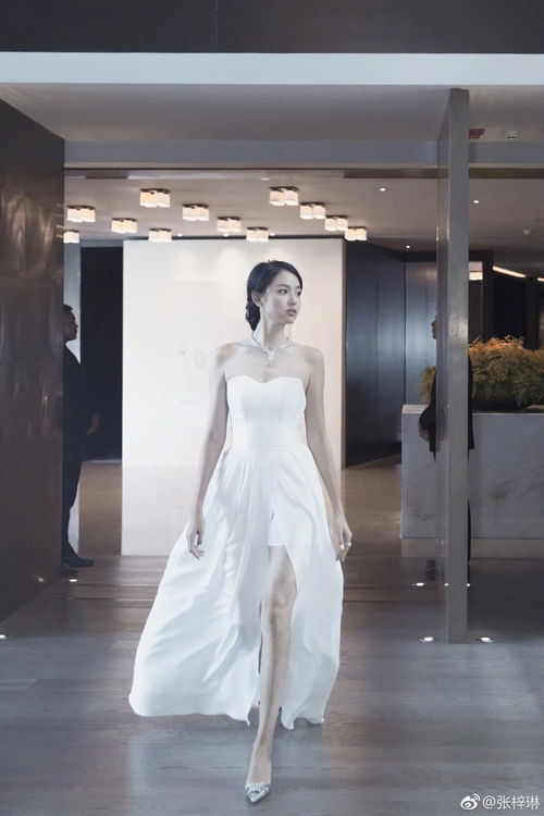 影后总裁先婚后爱，张梓琳的甜蜜人生（第99集）