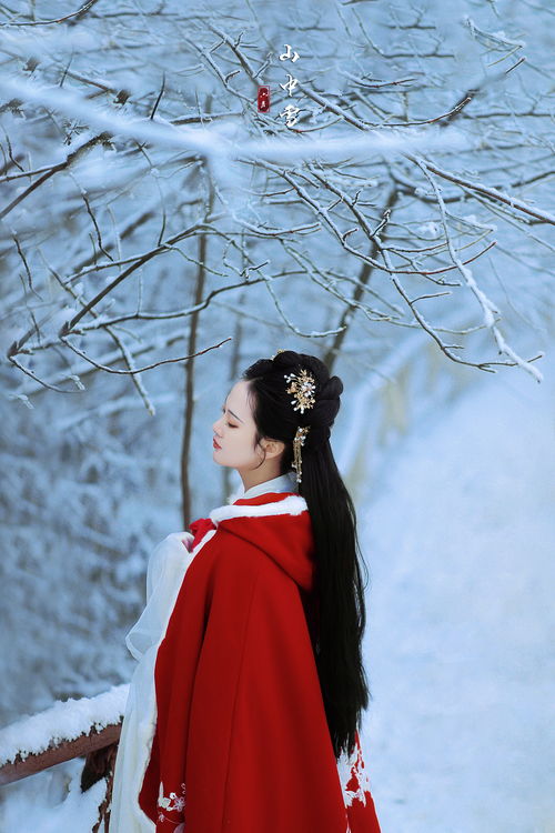 雪落下的声音（61集）