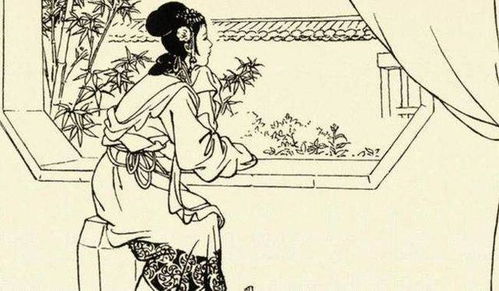 万里救母（81集），穿越时空的亲情与孝道之旅