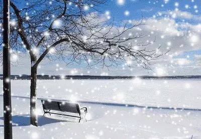 宫墙雪（99集），历史的尘埃与情感的纠葛