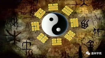 天命神算，命运之轮的神秘运转（80集剧情解析）