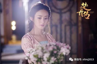 楚少轻点虐，我怕夫人受不住
