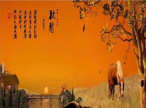 秋思入长安（82集）