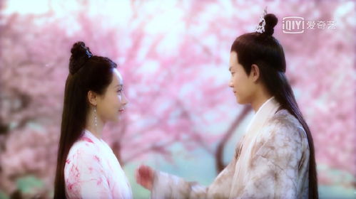 闪婚娇宠，傅总宠妻如令
