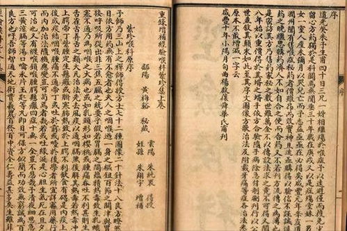 轩辕医圣，古医术的传世之作（88集）