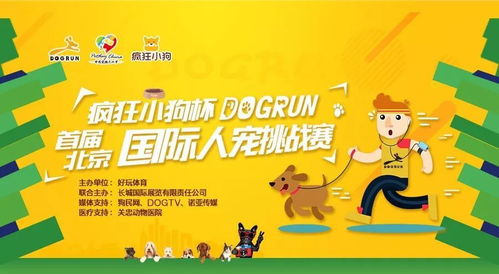 外国友人购买中国机器狗，中文口令的挑战与机遇