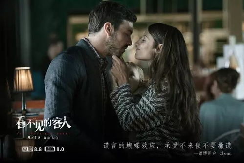 消失的妻子，探寻真相与情感的悬疑之旅