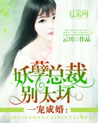 前妻别逃，霍先生乖乖宠我（100集）