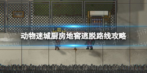 南特助的逃离之路，又又又的挑战（第100集）与申浩南的奋斗