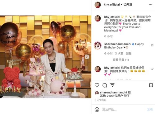 天才双宝，我为妈咪招婿，喜讯天降与双胞胎妈咪的火热故事（共80集）
