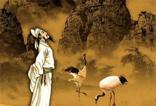 太子他又被人害了（1集至10集）