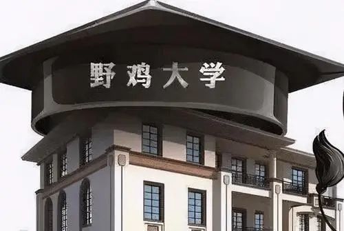糟糕，我假皇子的身份要曝光了（第90集）