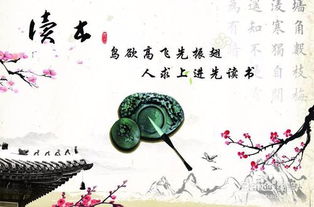 谁怜天下慈母心（71集）深度解析与感悟