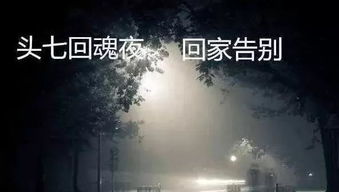 豪雄归来，财狼亲戚恶有恶报（第41集剧情深度解析）