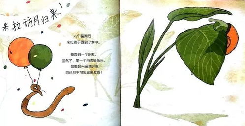 长篇故事，追寻心中的梦想