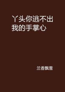 你逃不出我的手掌心（88集连续剧剧情解析）